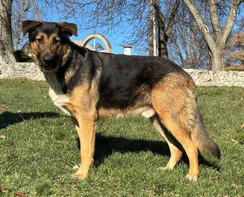 Pop möchte mit IHNEN durchs Leben gehen