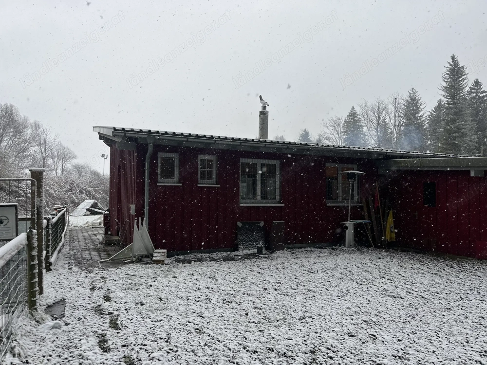 Vereinsheim zu verschenken