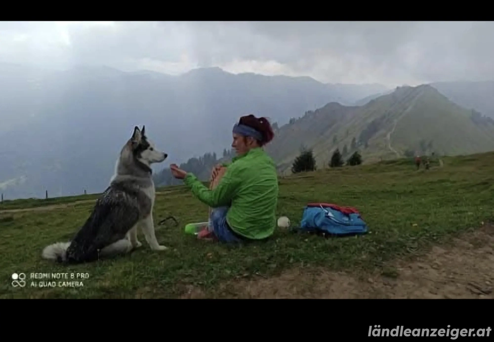 Suche Hund zum wandern