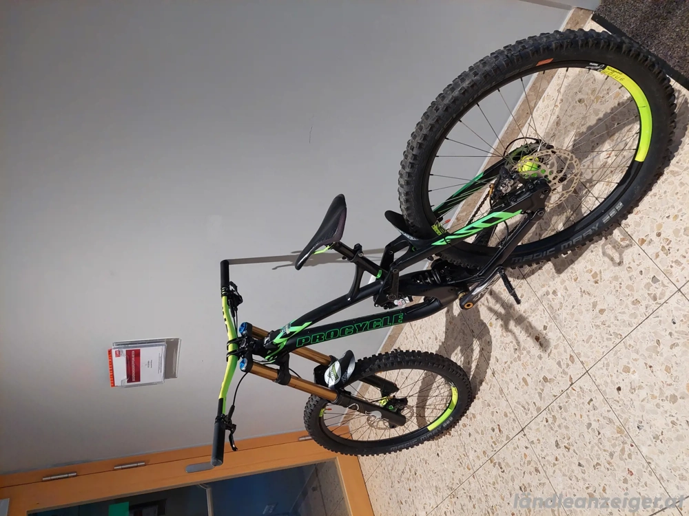 Procycle Downhill Fahrrad