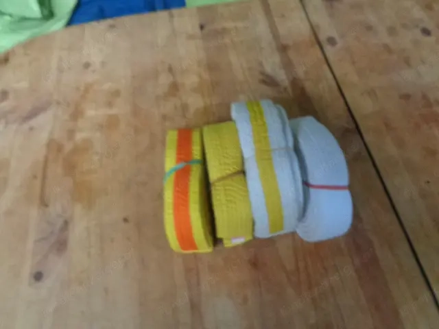 Trainingsanzug von Judo Bregenz