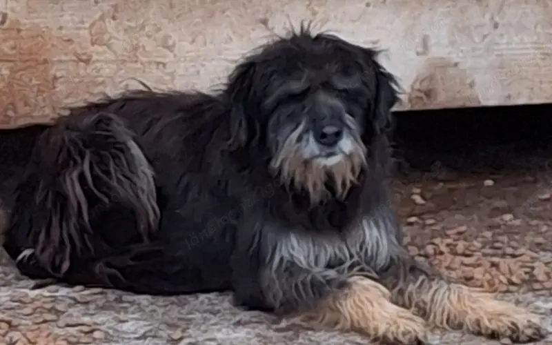 Stache wartet auf SEINE Familie - NOTFALL