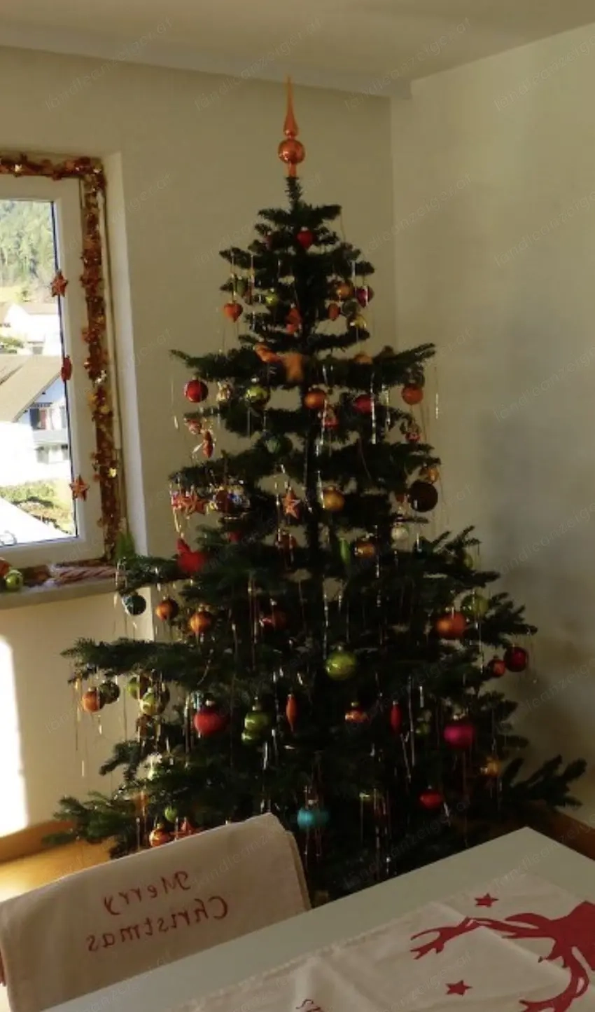 Weihnachtsbaum mit fixer Beleuchtung 