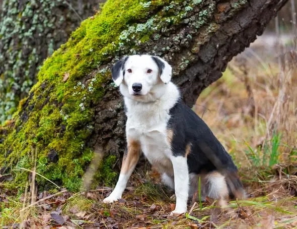 Belle möchte noch die Welt sehen...
