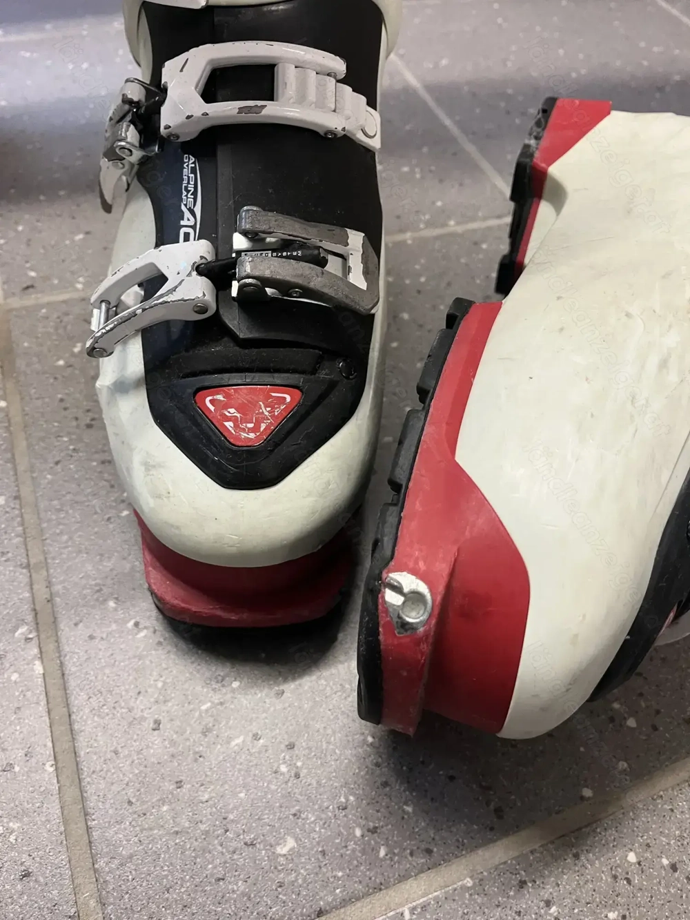 Ski und Skischuhe zu verschenken!