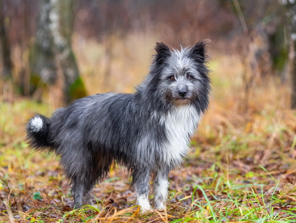 Menschen Bezogener Topotun sucht liebe Menschen