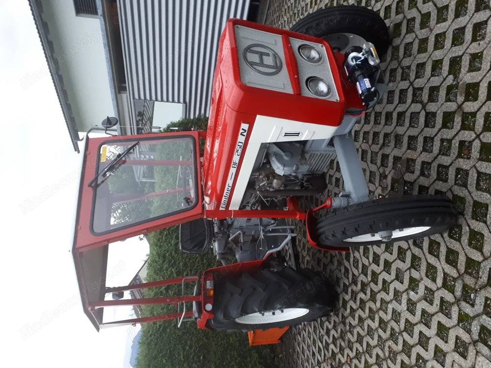 Lindner BF 250 inkl. Hänger und Heckmulde