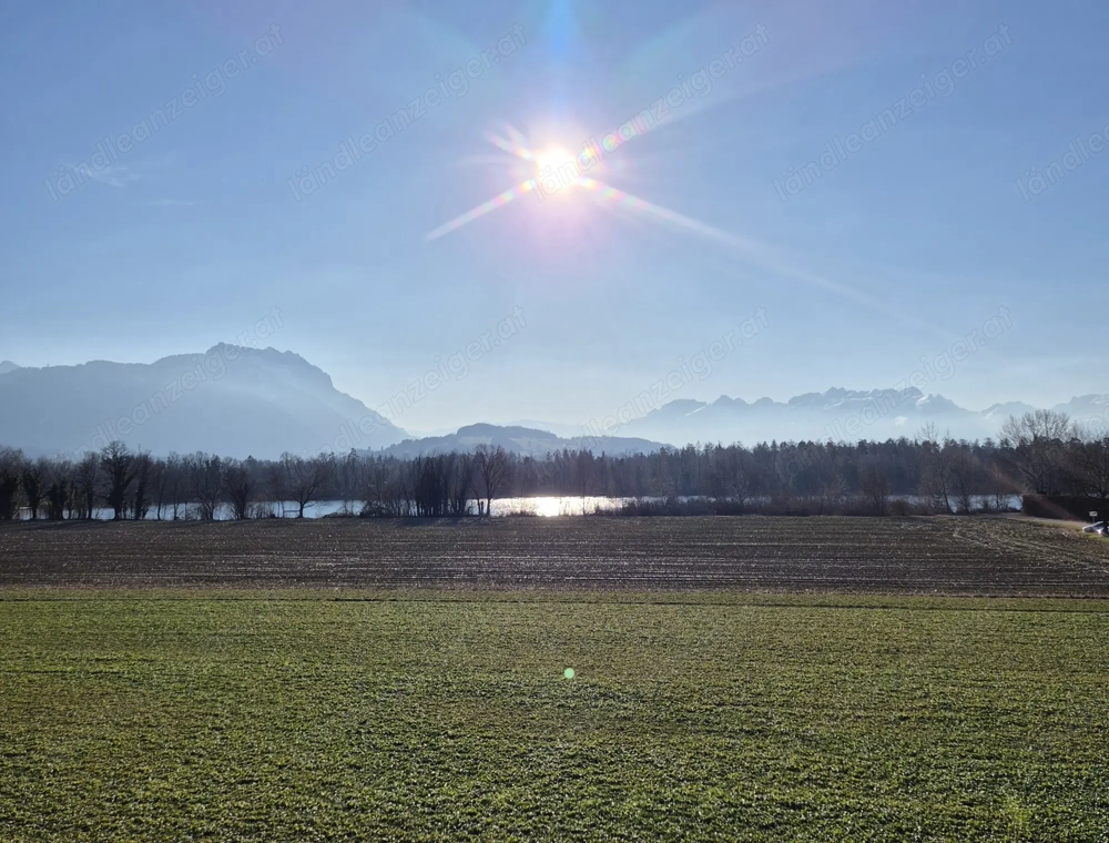 4,5 Zimmer Wohnung mit Aussicht auf den Baggersee in Brederis