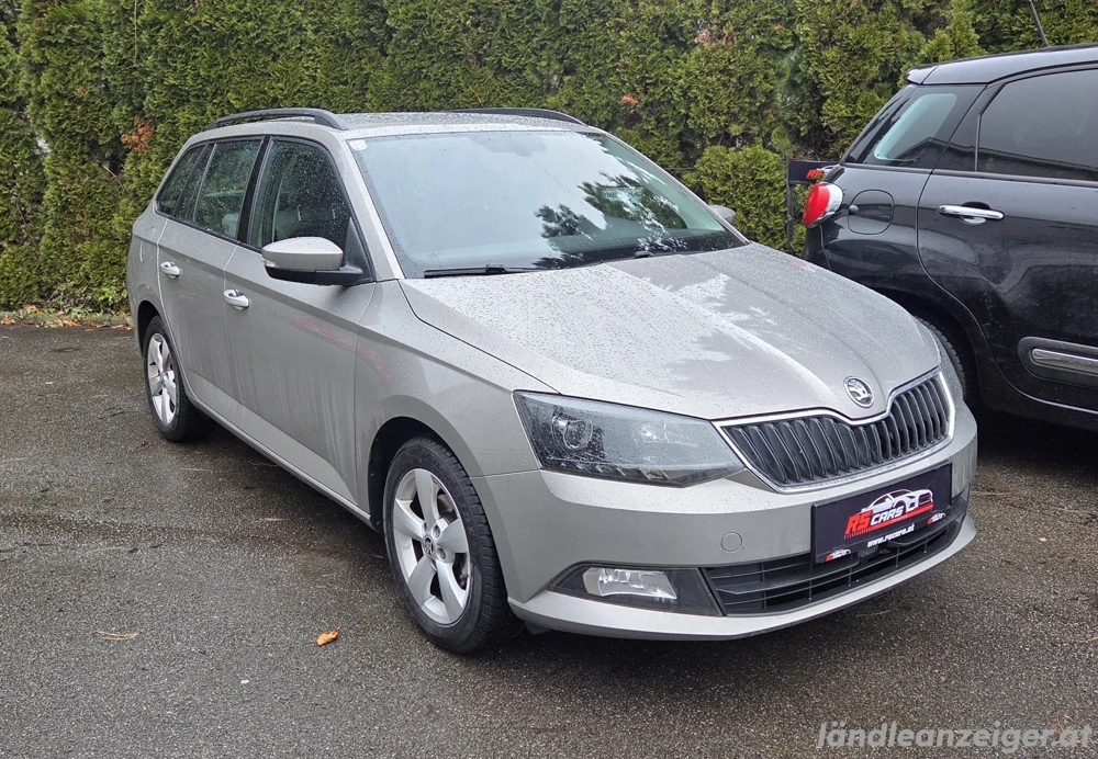 Skoda Fabia Kombi Nur 48000km