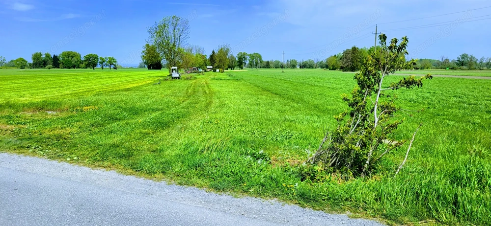 kleine hütte mit grundstück  ca 800m   vom bodensee  zu vermieten