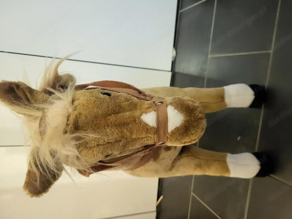 Steh Pferd für Kinder