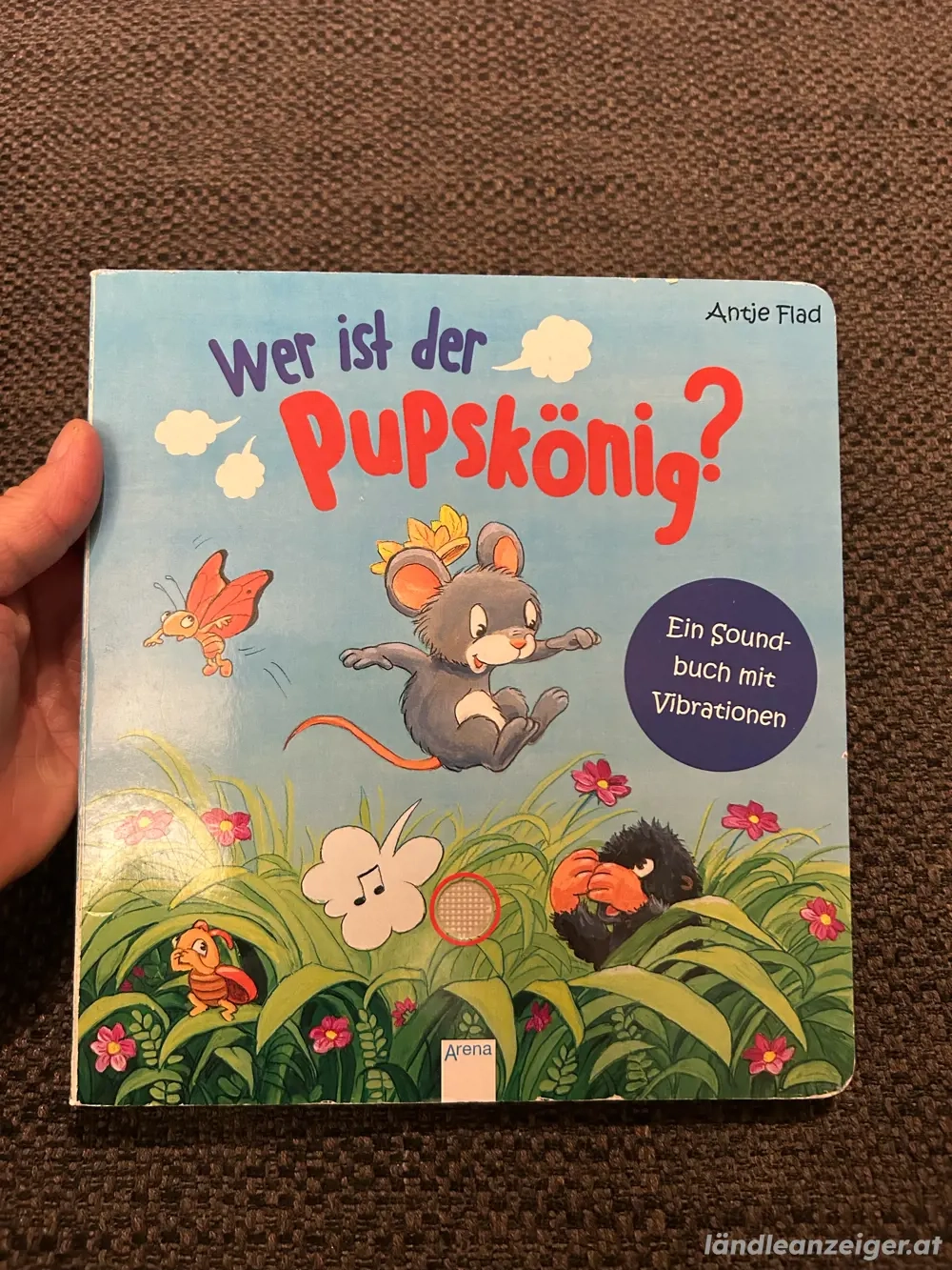 Wer ist der Pupskönig?, Antje Flad