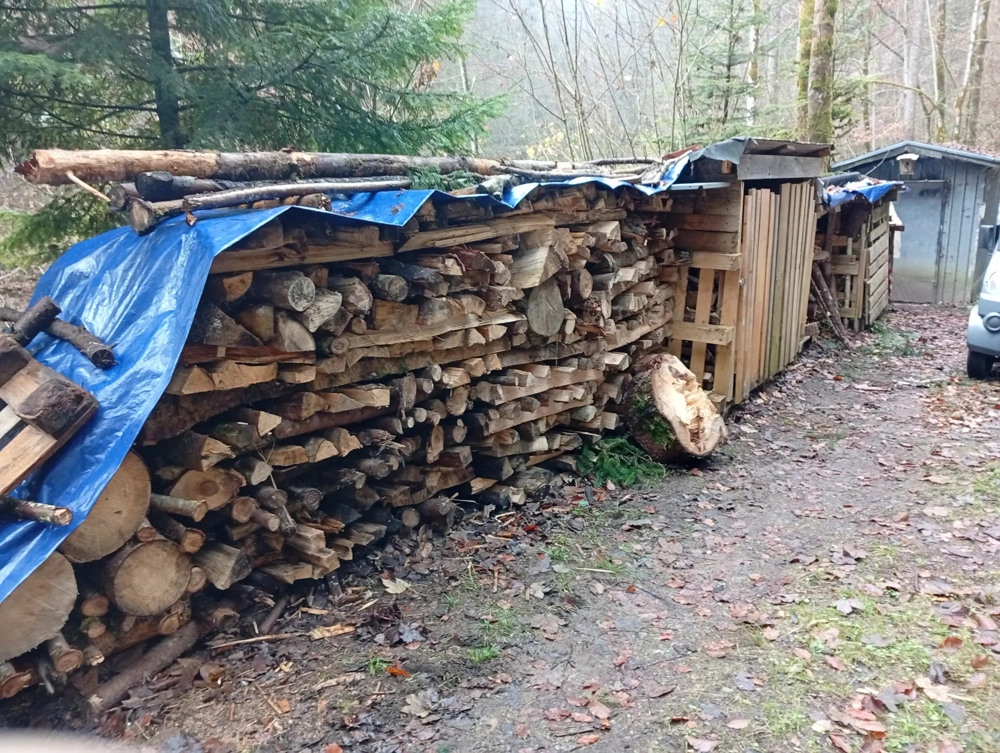 Brennholz hart zu verkaufen