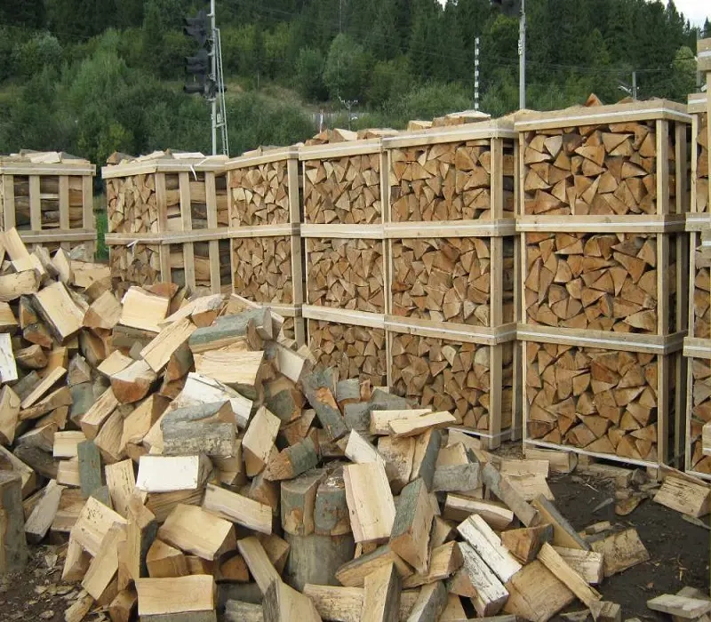 Brennholz | Kaminholz |Buche & Fichte | ab 60 Euro Rm | Restfeuchte 15-20 %