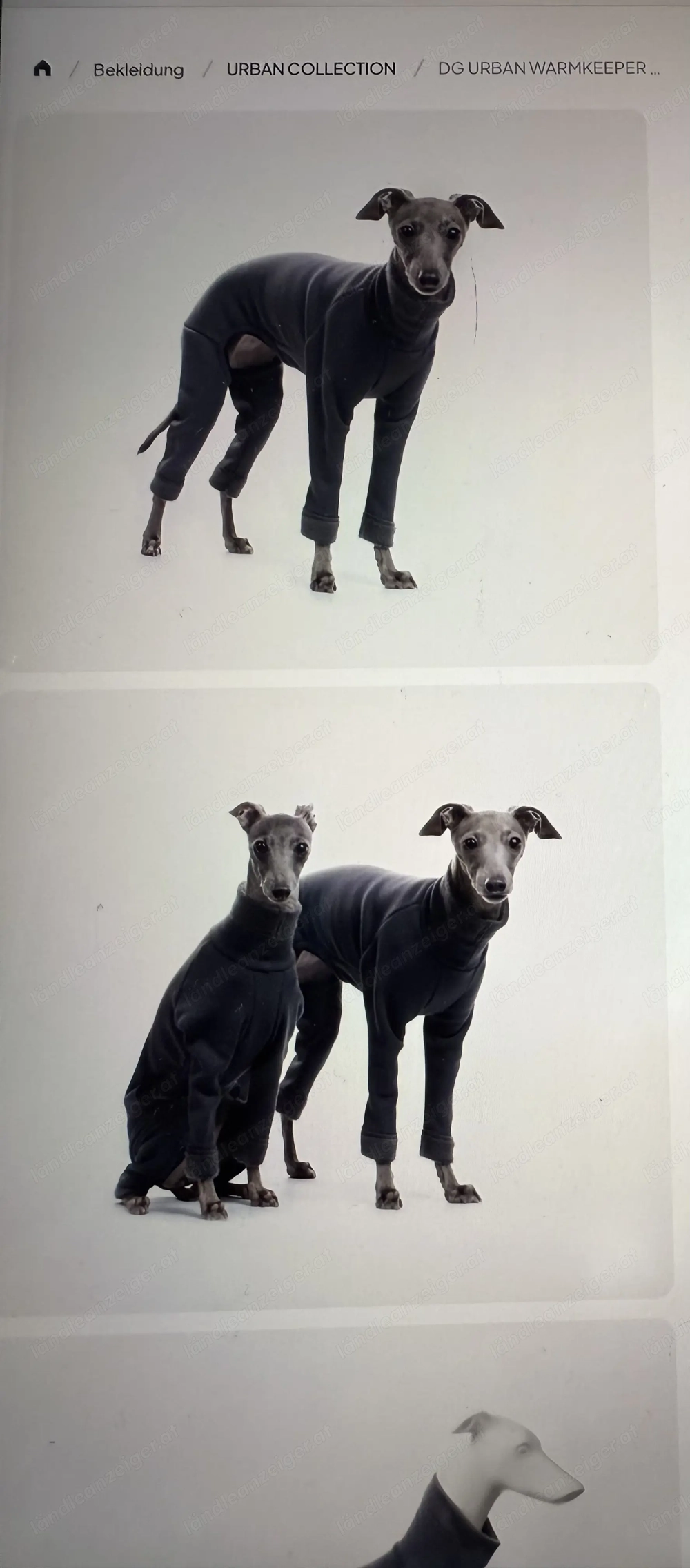 Dog Gear Windhundmantel f. Windspiel, Pinscher, Whippet, Gr. S