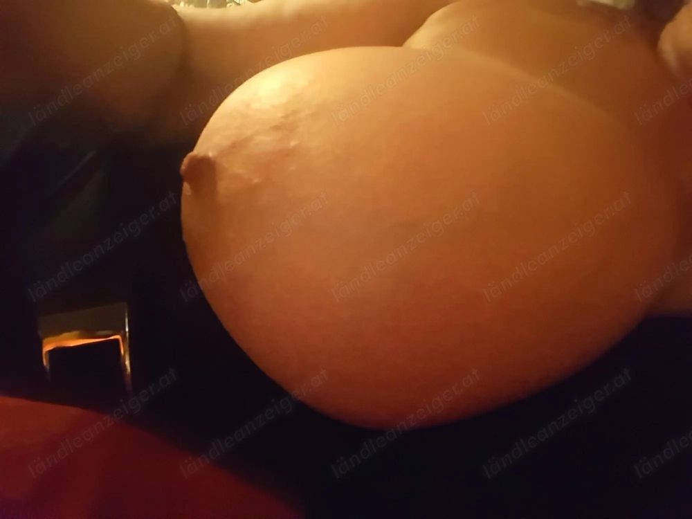 Unsere Dame sucht eine Frau 