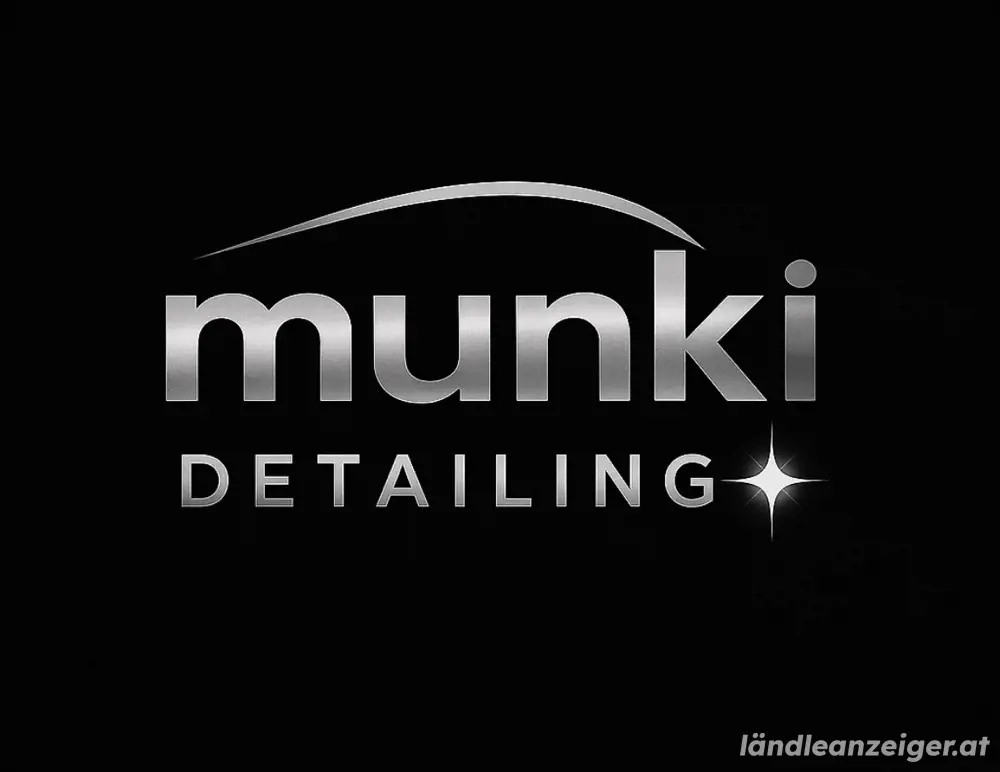 Mobile Innenraumaufbereitung   Munki Detailing (Bregenz - Vorarlberg)