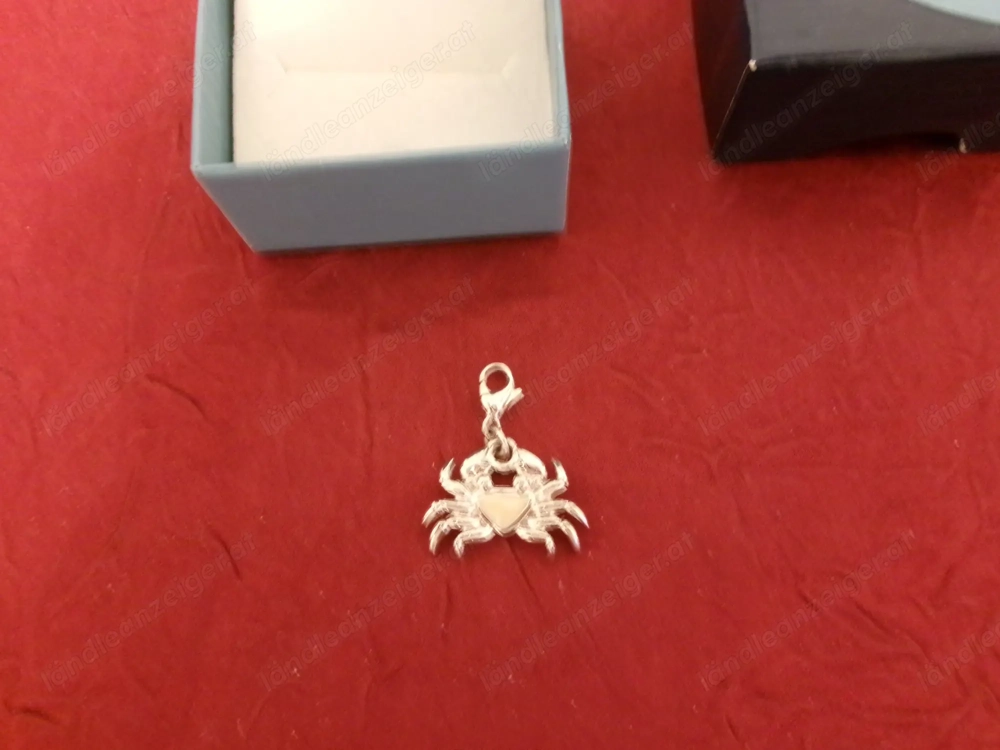 Anhänger oder Charm für Bettelarmband