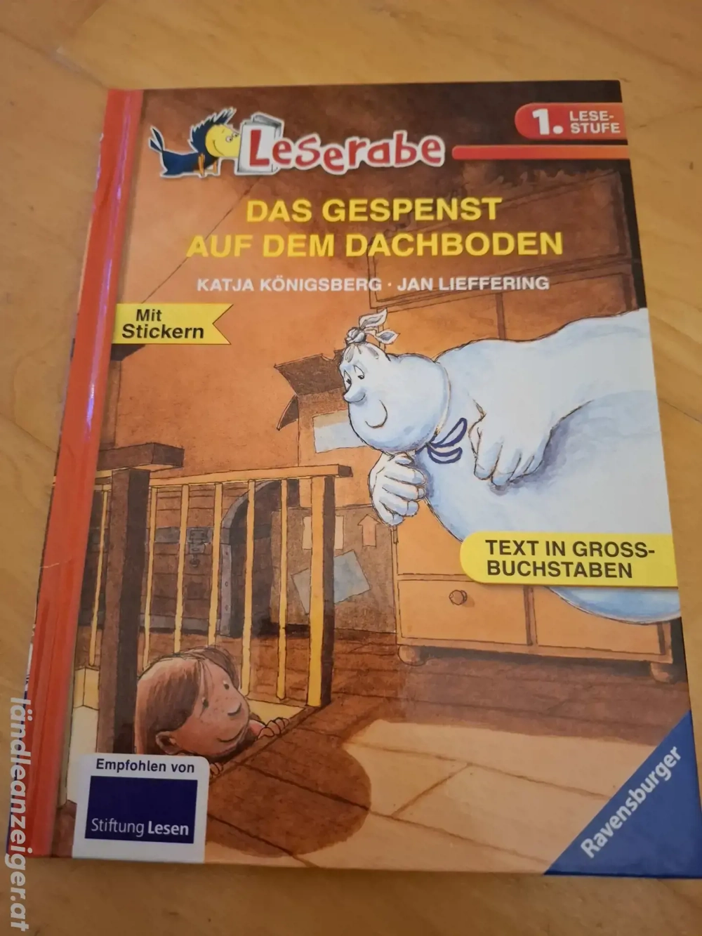 Das Gespenst auf dem Dachboden