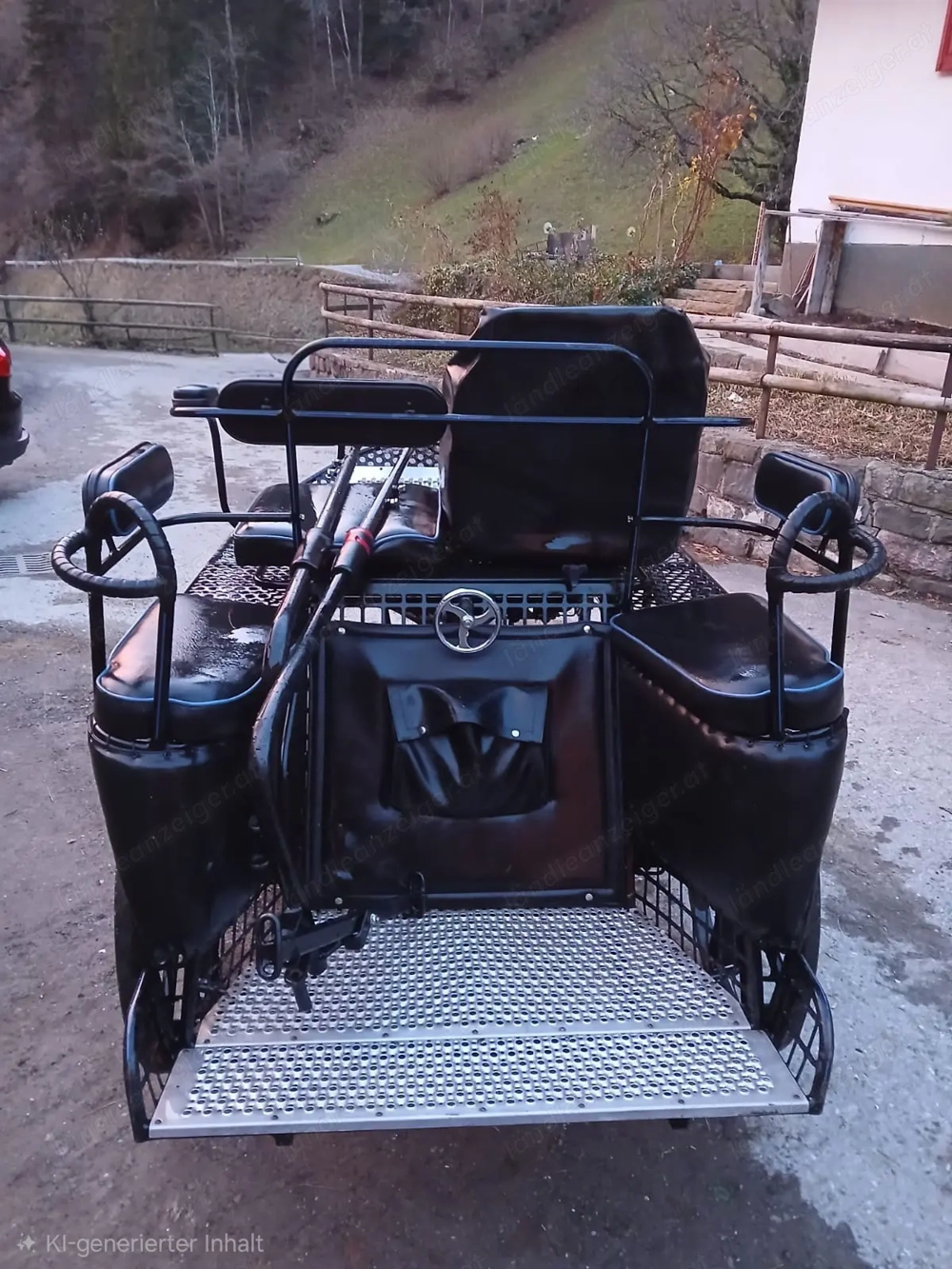  Kutsche Glinkowski Marathonwagen