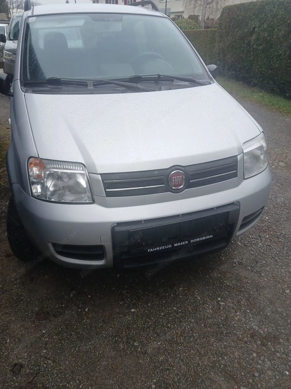 Fiat Panda 4x4 Bj 2009, angehendes Liebhaberfahrzeug