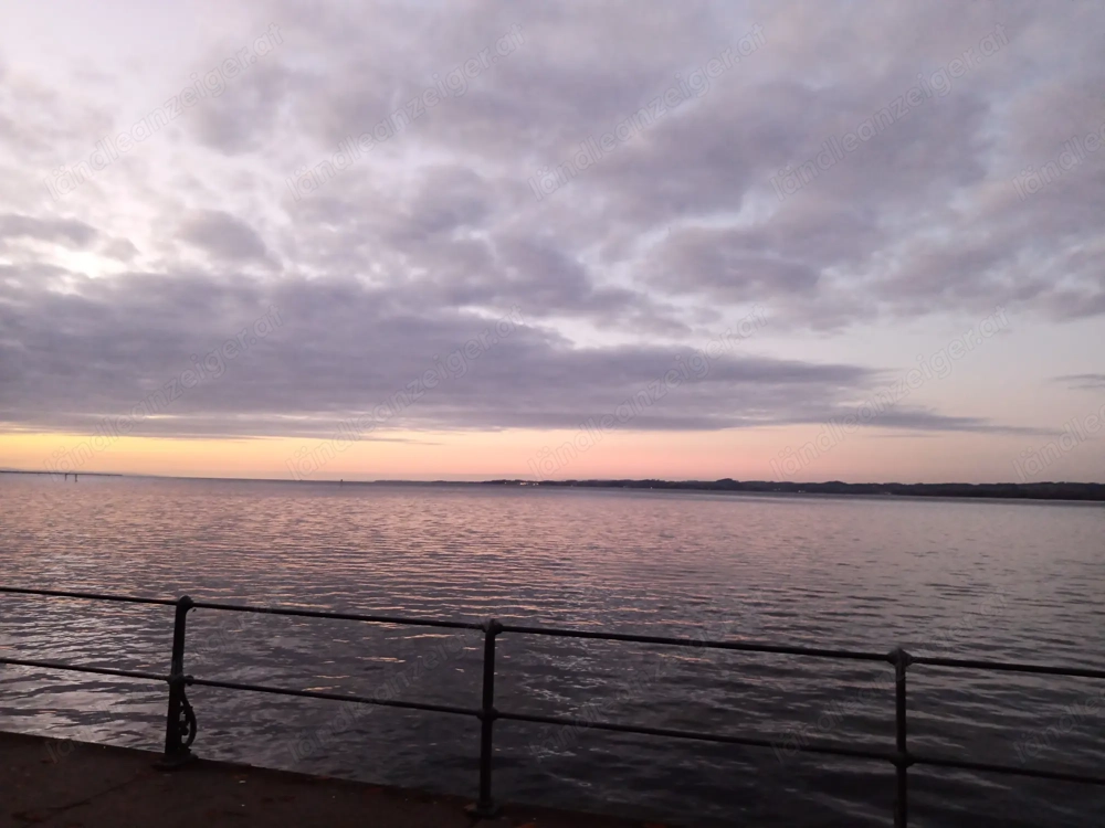 Suche Wohnung in Bregenz 