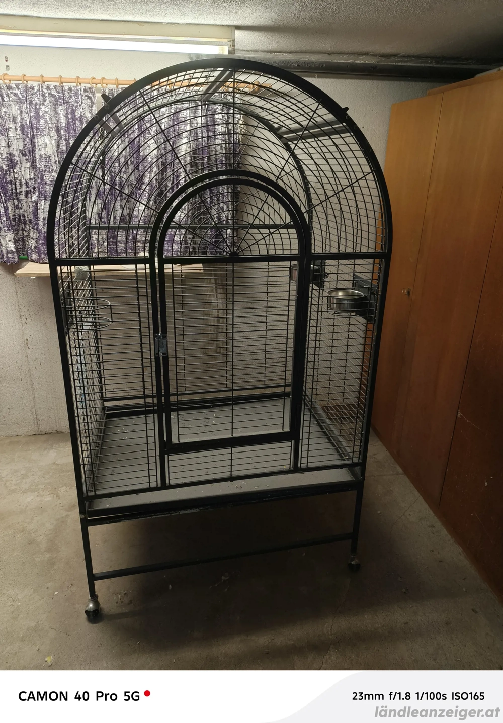 Groß Käfig 