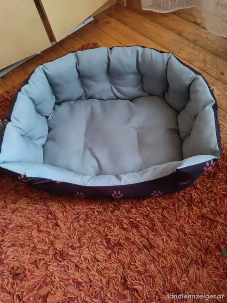 Katzen Bettchen & Zwerghunde 