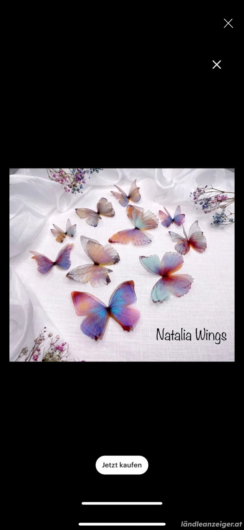 Seidenschmetterlinge pins