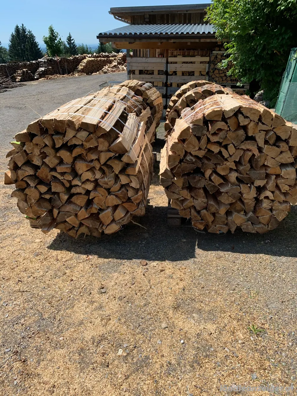 Brennholz hart Buche RM