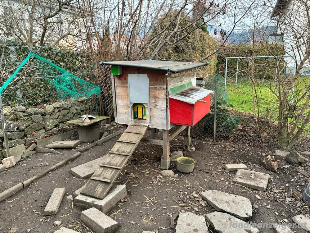hühnerstall mit auto türöffner 
