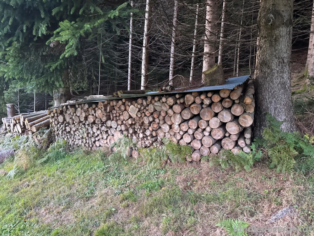 Brennholz weich 1m rund