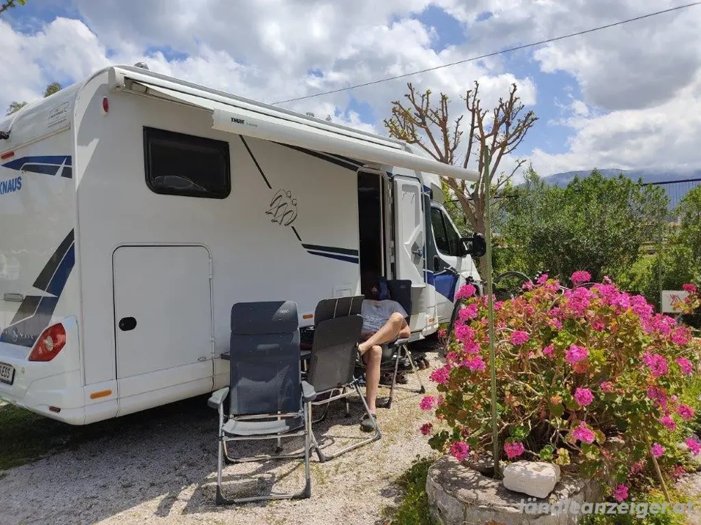 Knaus Live Wave 650 mg