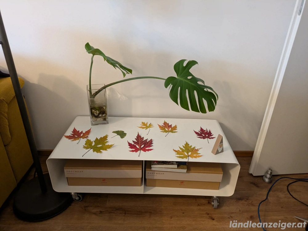 TV Bank weiss mit Rollen