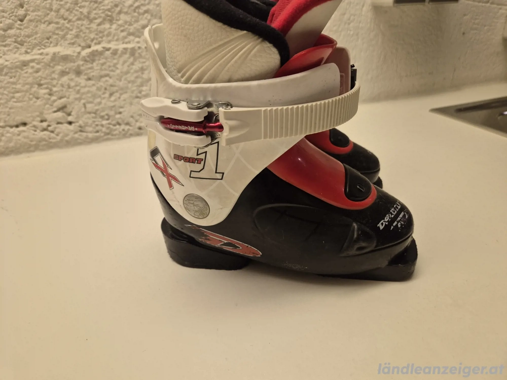 Skischuhe 