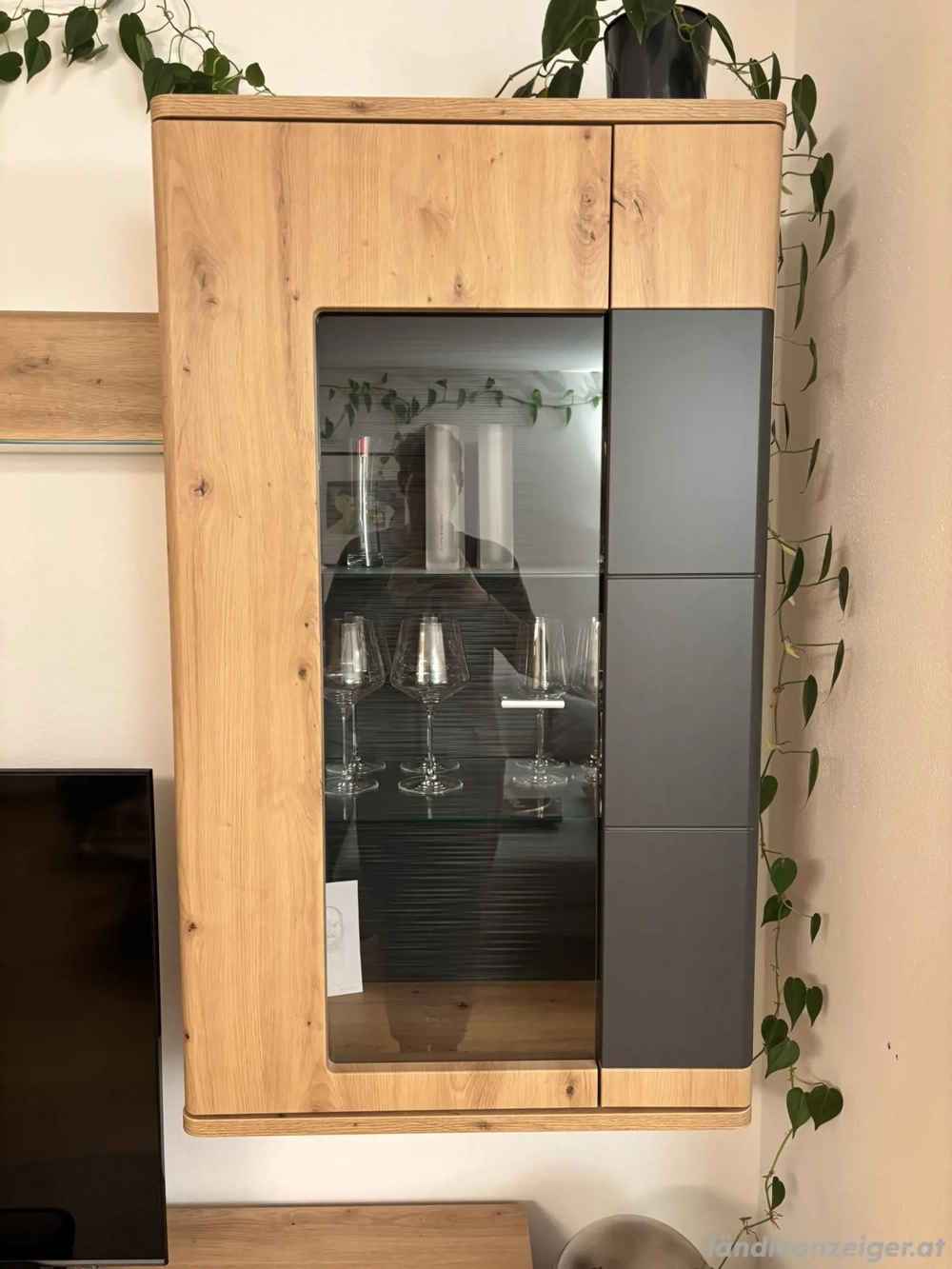 Hängevitrine Holz