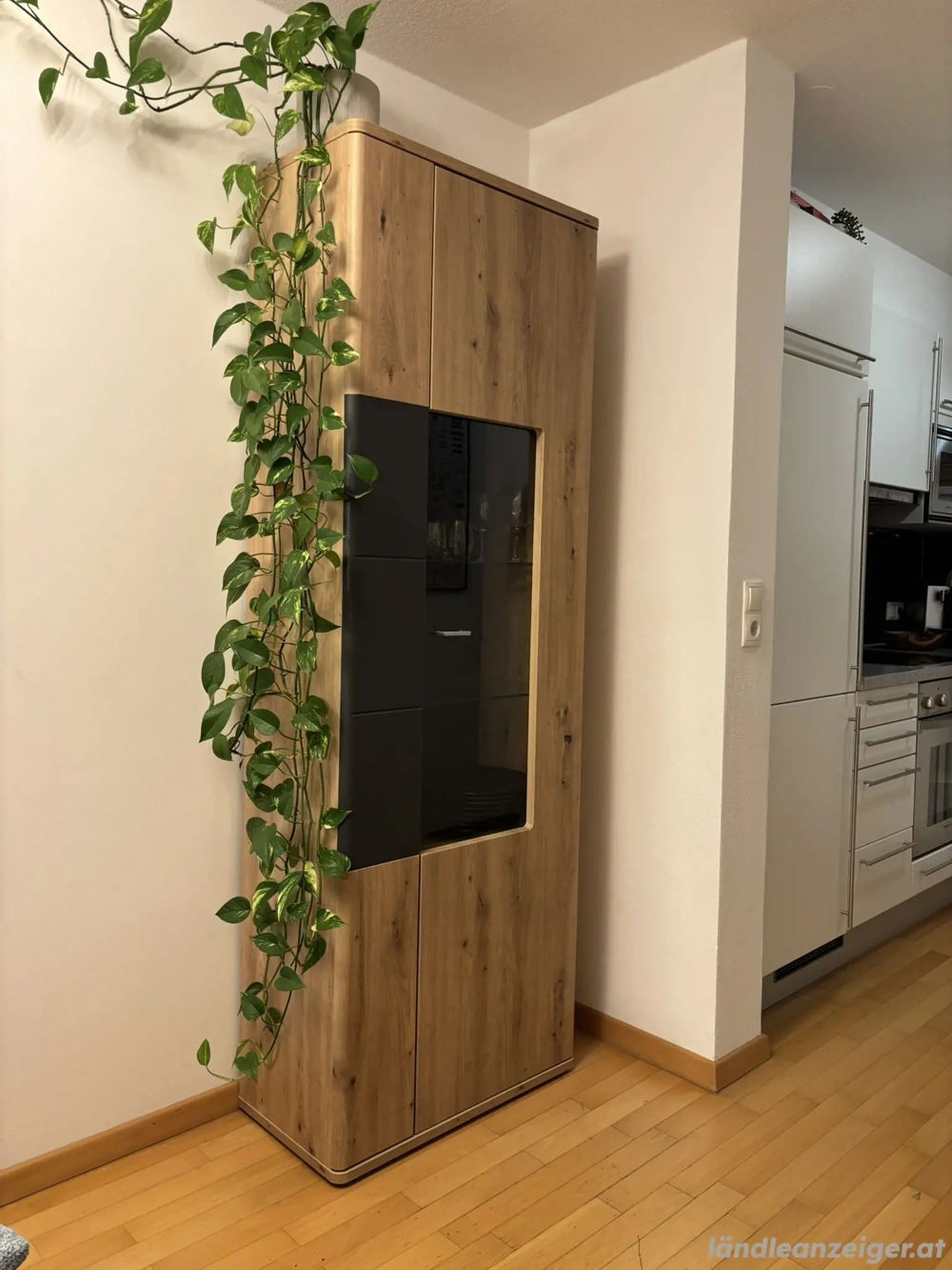 Stehvitrine Holz