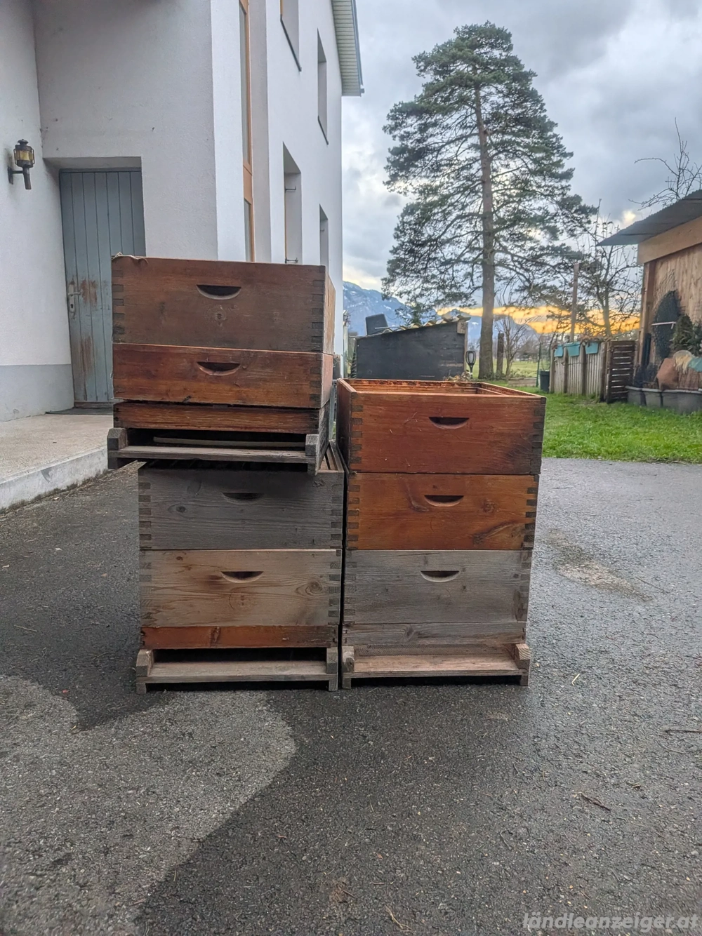 Bienen-Beuten inkl. Zubehör