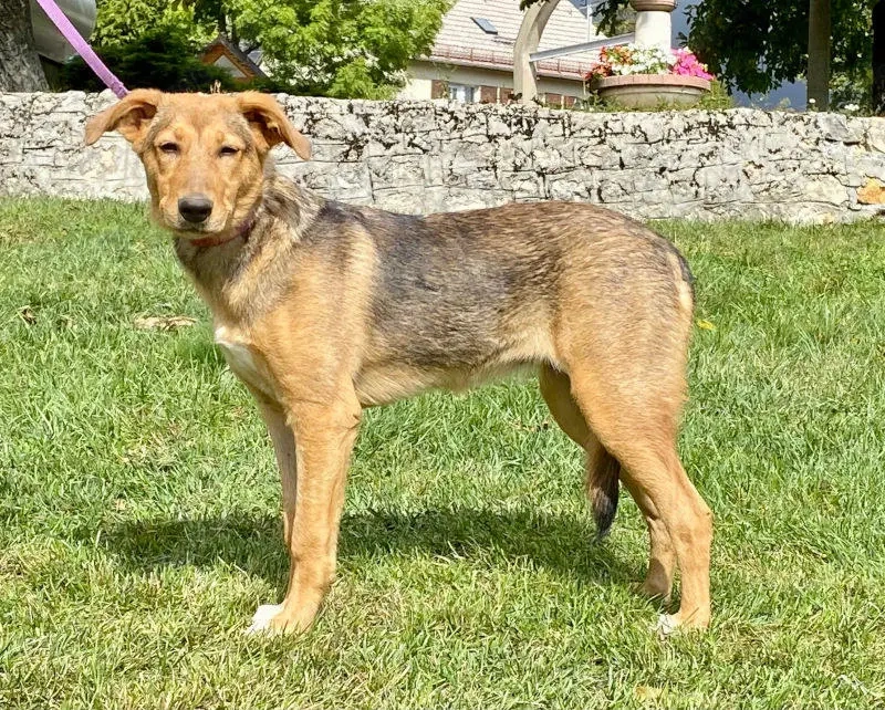 Sova möchte Teil IHRER Familie werden