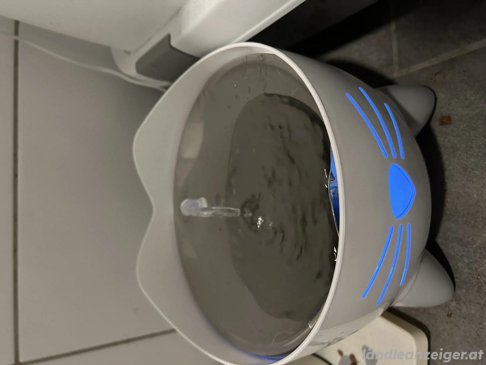 trinkbrunnen für katzen