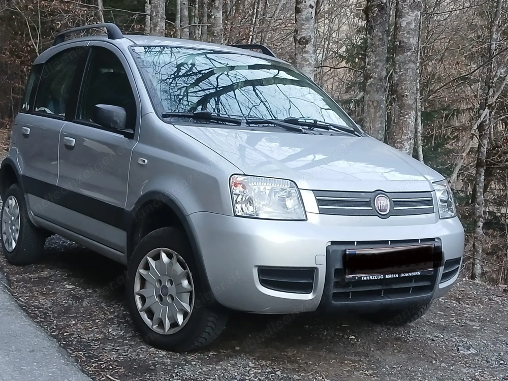 Fiat Panda 4x4 Bj 2009, angehendes Liebhaberfahrzeug zu einem Spitzenpreis