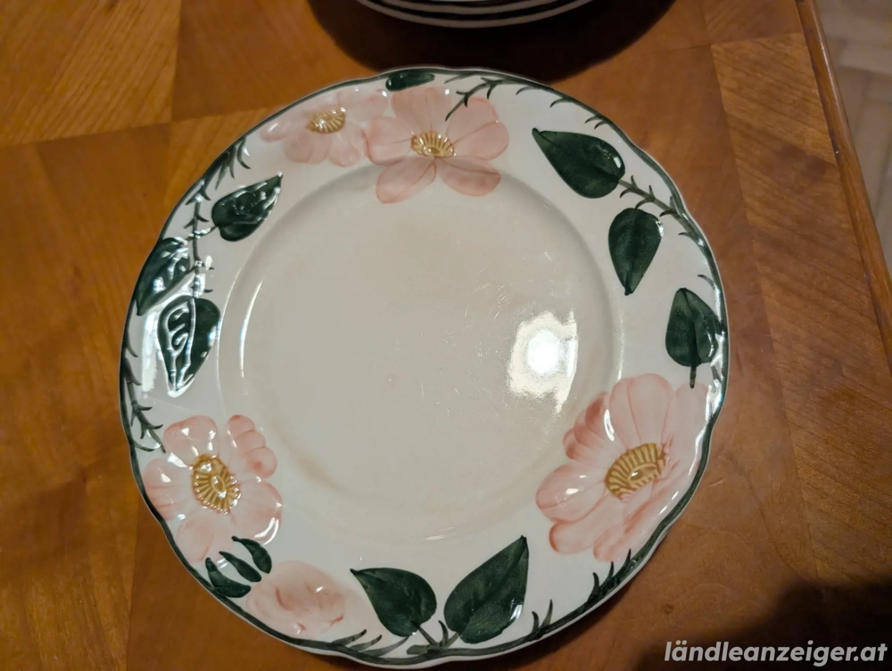 15 Handbemalte Teller von Villerey & Boch