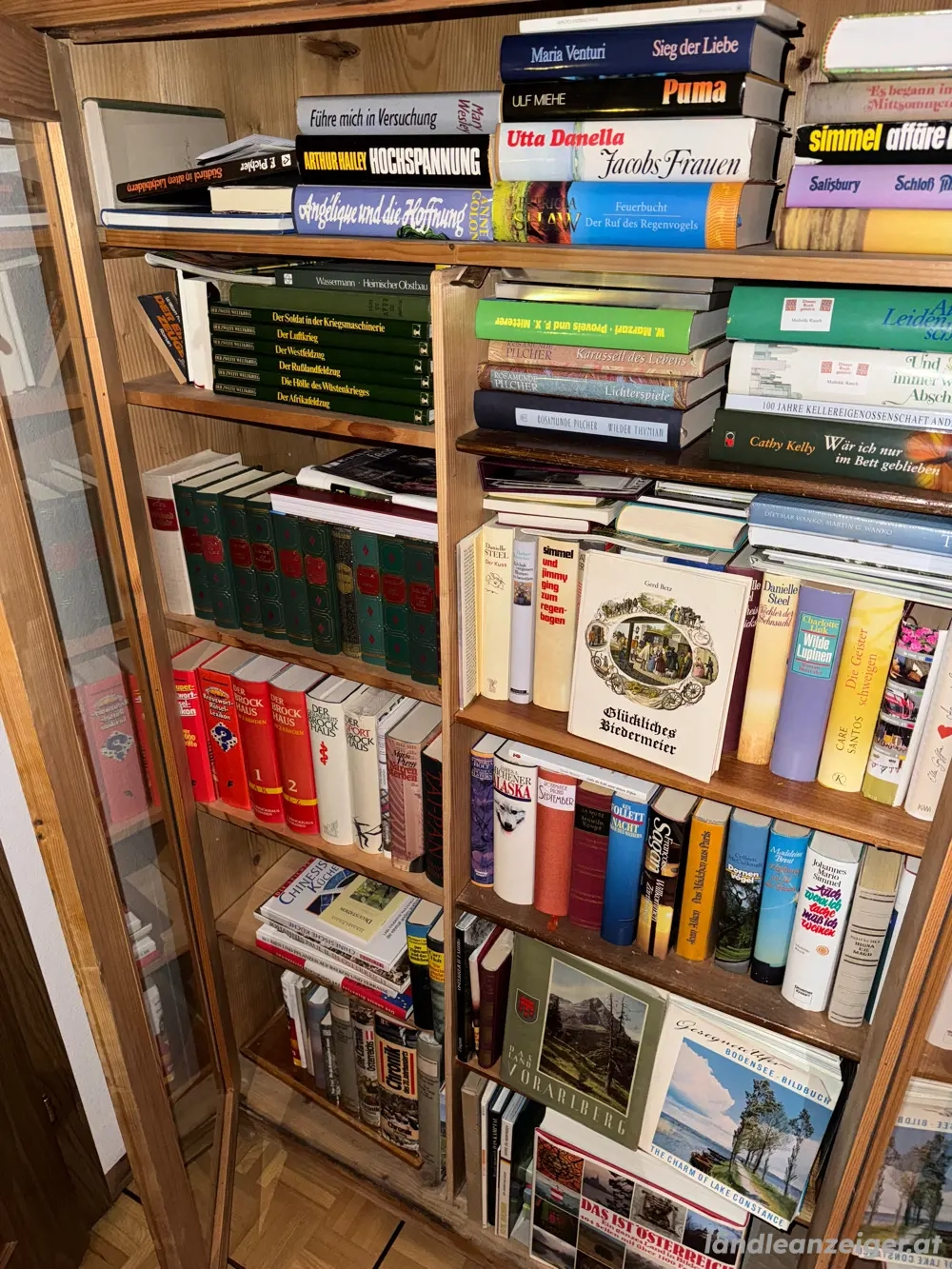 Altes Bücherregal mit Büchern