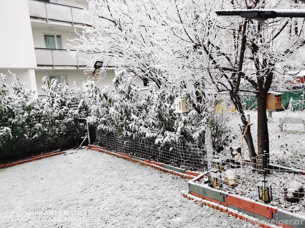 Wo ist die Rose meines Herzens 