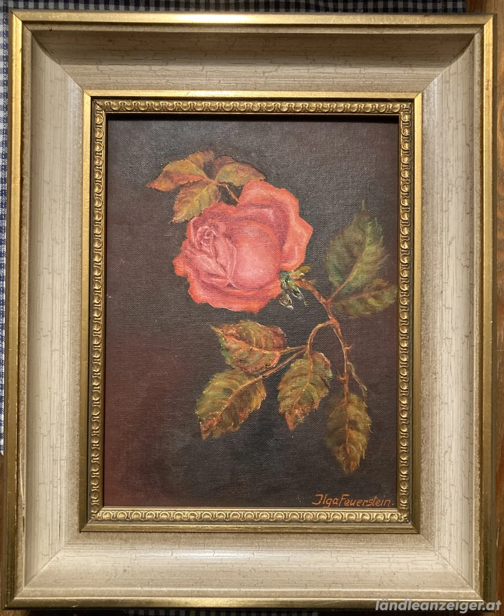 Bild  Rose  Ilga Feuerstein