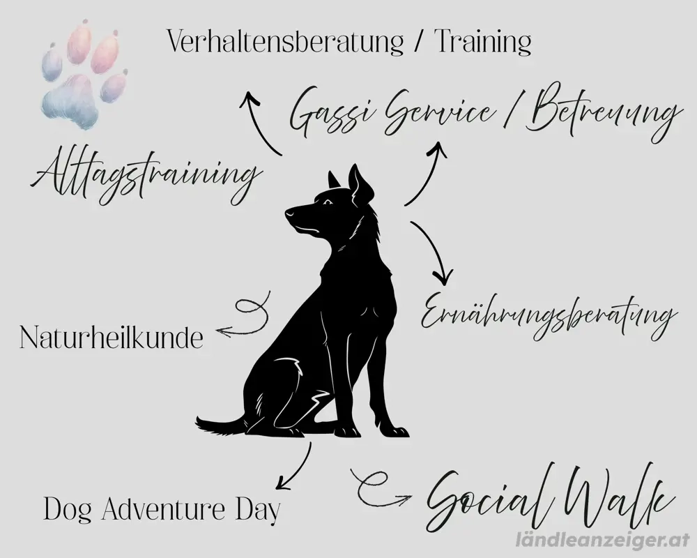 Hundetraining