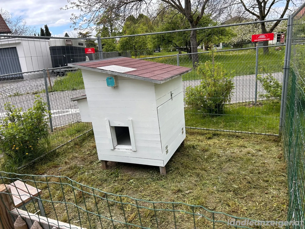 Hühnerhäuschen