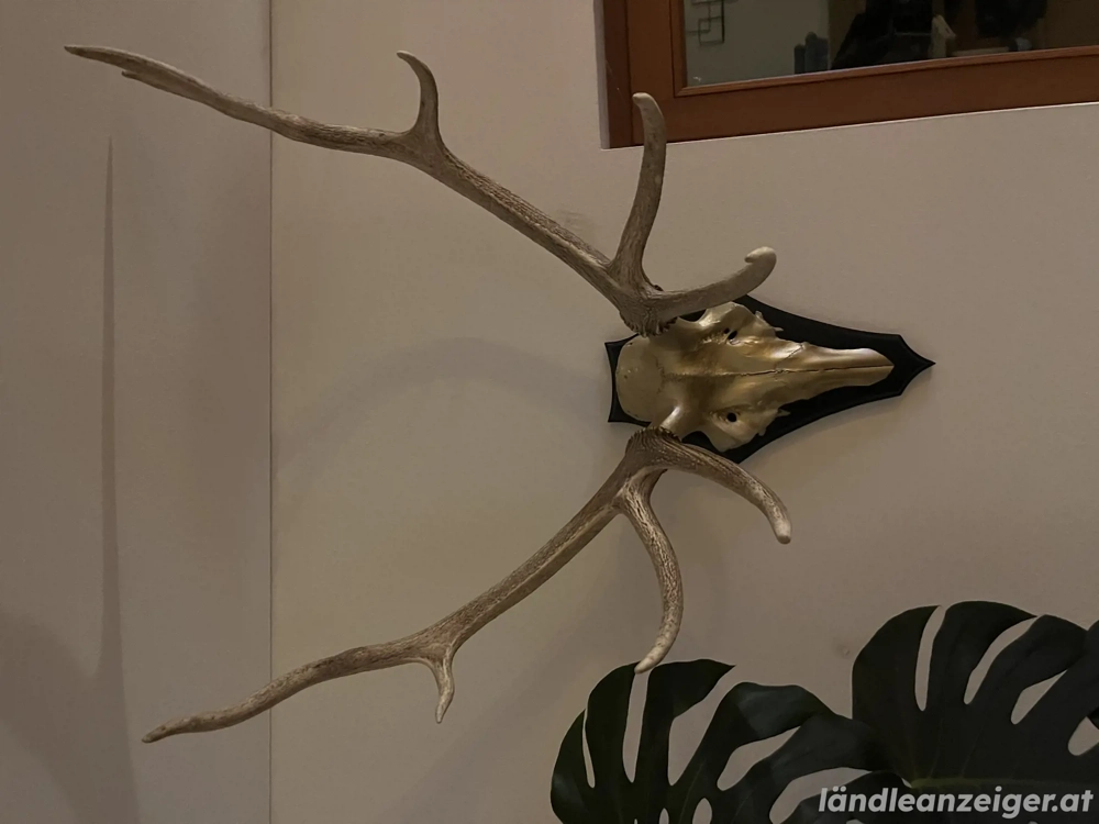 Hirschgeweih 