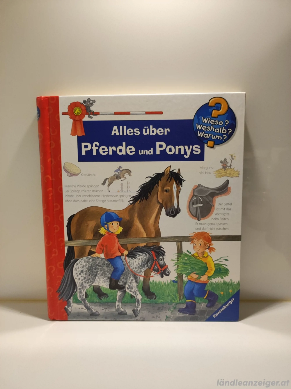 Alles über Pferde und Ponys 