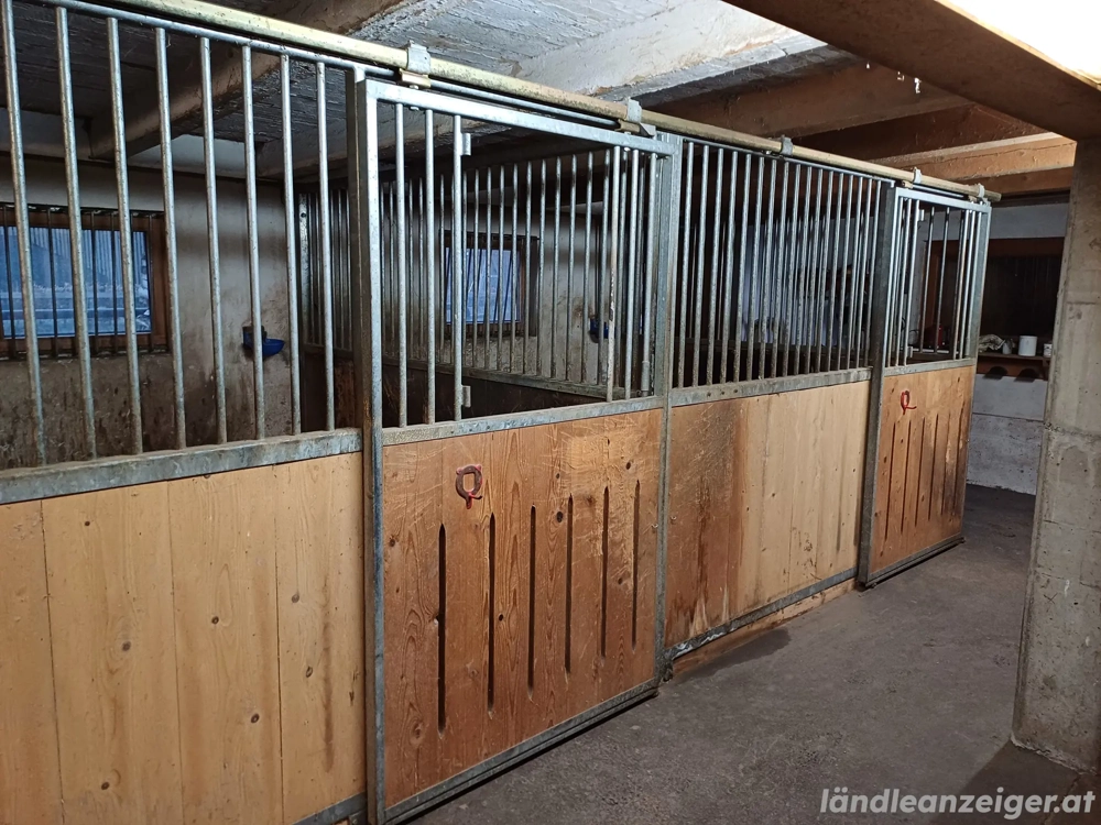 Pferde - Innenboxen 3x3 m   mit Schiebetüren